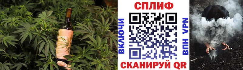 Купить закладки  Отрадная  Canna-Cookies конопля 