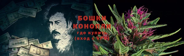 сатива Каменск-Шахтинский
