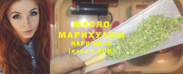 молекула духа Каменка