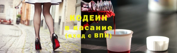 молекула духа Каменка