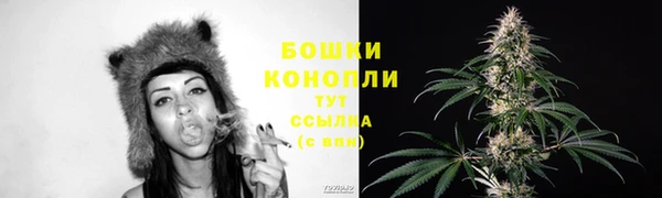 сатива Каменск-Шахтинский