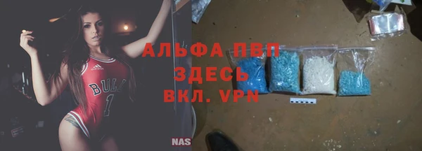 сатива Каменск-Шахтинский