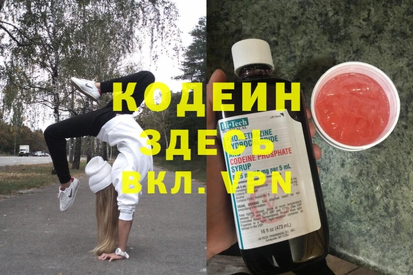 молекула духа Каменка