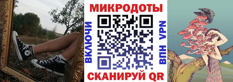 Купить где  Отрадная  Галлюциногенные грибы Psilocybine cubensis 